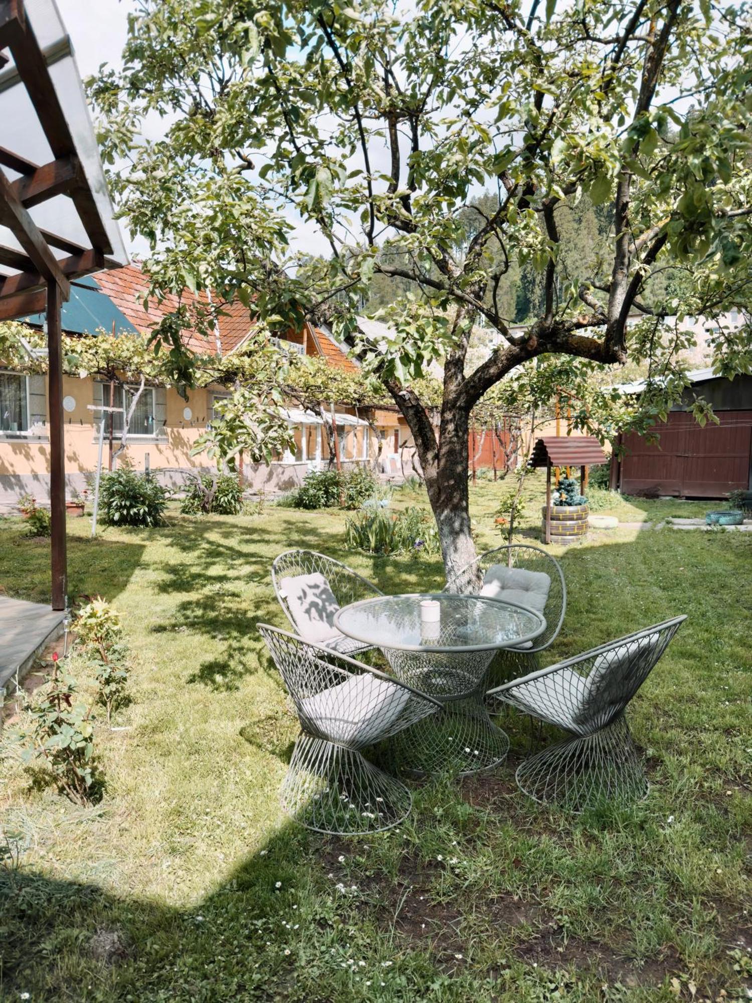 דירות Yard Studio Rasnov מראה חיצוני תמונה
